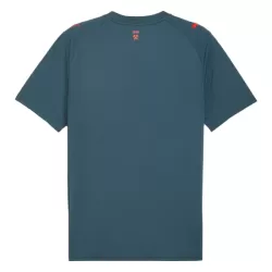 Günstige Shakhtar Donetsk Herrentrikot Auswärts 2025/26 Kurzarm