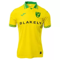 Günstige Norwich City Herrentrikot Heim 2025/26 Kurzarm