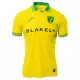 Günstige Norwich City Herrentrikot Heim 2025/26 Kurzarm Günstige Norwich City Herrentrikot Heim 2025/26 Kurzarm