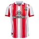 Günstige Southampton Herrentrikot Heim 2025/26 Kurzarm Günstige Southampton Herrentrikot Heim 2025/26 Kurzarm