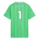 Günstige Arsenal Raya 1 Torwart Herrentrikot 2025/26 Kurzarm Grüne Günstige Arsenal Raya 1 Torwart Herrentrikot 2025/26 Kurzarm Grüne