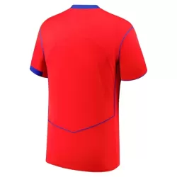 Günstige Paris Saint-Germain Herrentrikot Ausweich 2025/26 Kurzarm