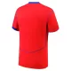 Günstige Paris Saint-Germain Herrentrikot Ausweich 2025/26 Kurzarm