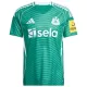 Günstige Newcastle United Herrentrikot Auswärts 2025/26 Kurzarm Günstige Newcastle United Herrentrikot Auswärts 2025/26 Kurzarm