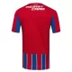 Günstige Colo-Colo Herrentrikot Ausweich 2025/26 Kurzarm