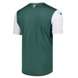 Günstige Hibernian Herrentrikot Heim 2025/26 Kurzarm