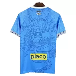 Günstige Santos FC Dragon Herrentrikot 2025/26 Kurzarm Blaue