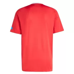 Günstige FC Nurnberg Herrentrikot Ausweich 2025/26 Kurzarm