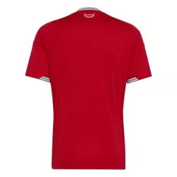 Günstige Wales Herrentrikot Heim WM 2026 Kurzarm