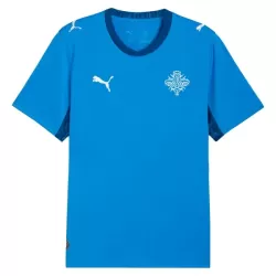 Günstige Island Herrentrikot Heim WM 2026 Kurzarm