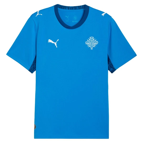 Günstige Island Herrentrikot Heim WM 2026 Kurzarm