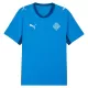 Günstige Island Herrentrikot Heim WM 2026 Kurzarm