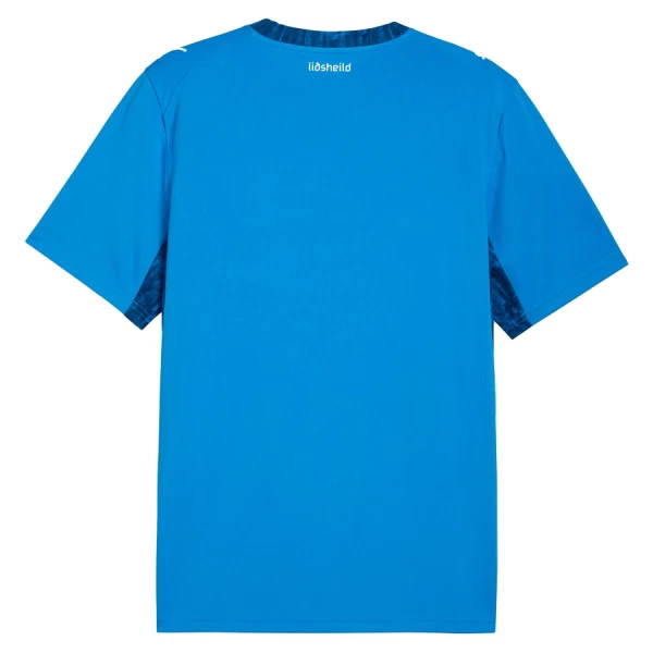Günstige Island Herrentrikot Heim WM 2026 Kurzarm