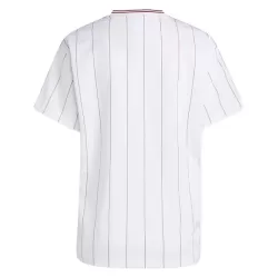 Günstige Aston Villa Terrace Icons Herrentrikot 2025/26 Kurzarm