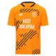 Günstige Cardiff City Herrentrikot Ausweich 2025/26 Kurzarm
