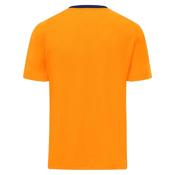 Günstige Cardiff City Herrentrikot Ausweich 2025/26 Kurzarm