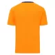 Günstige Cardiff City Herrentrikot Ausweich 2025/26 Kurzarm