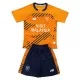 Günstige Cardiff City Kindertrikot Ausweich 2025/26 Kurzarm