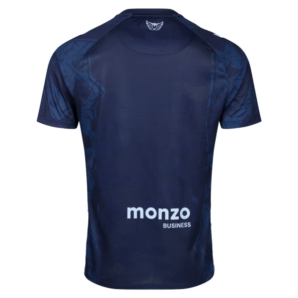 Günstige Coventry City Herrentrikot Ausweich 2025/26 Kurzarm