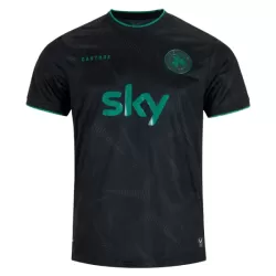 Günstige Irland Herrentrikot 2025/26 Kurzarm - Speziell