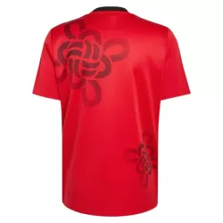 Günstige Manchester United Chinese Lucky Knot Herrentrikot 2026 Kurzarm - Speziell