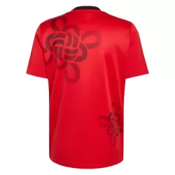 Günstige Manchester United Cultural Story Herrentrikot 2025/26 Kurzarm - Speziell