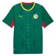 Günstige Senegal Herrentrikot Auswärts WM 2026 Kurzarm Günstige Senegal Herrentrikot Auswärts WM 2026 Kurzarm