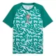 Günstige Portugal Pre-Match Herrentrikot WM 2026 Kurzarm Grüne Günstige Portugal Pre-Match Herrentrikot WM 2026 Kurzarm Grüne
