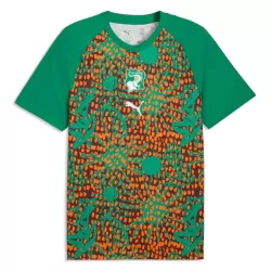 Günstige Elfenbeinküste Pre-Match Herrentrikot WM 2026 Kurzarm