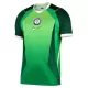 Günstige Nigeria Herrentrikot Heim 2026/27 Kurzarm