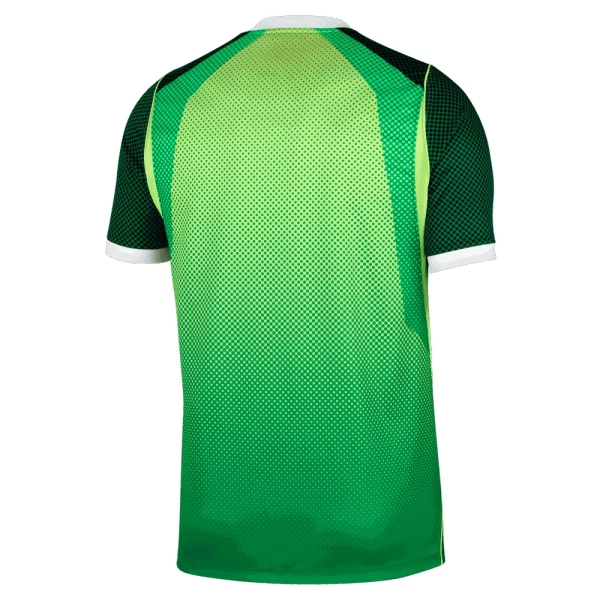 Günstige Nigeria Herrentrikot Heim 2026/27 Kurzarm