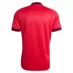 Günstige Olympique Lyon Herrentrikot Auswärts 2026/27 Kurzarm