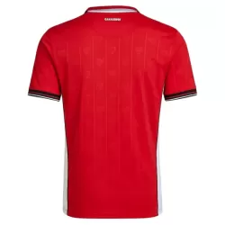 Günstige Panama Herrentrikot Heim WM 2026 Kurzarm