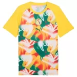 Günstige Senegal Pre-Match Herrentrikot WM 2026 Kurzarm