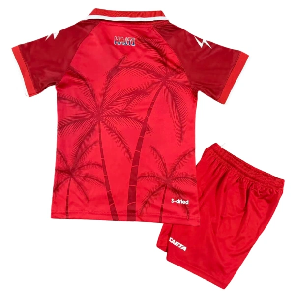 Günstige Haiti Kindertrikot Ausweich WM 2026 Kurzarm