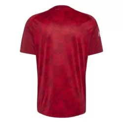 Günstige Liverpool Pre-Match Herrentrikot 2026/27 Kurzarm