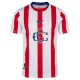Günstige CD Guadalajara Herrentrikot 120th Jubiläum 2025/26 Kurzarm Günstige CD Guadalajara Herrentrikot 120th Jubiläum 2025/26 Kurzarm