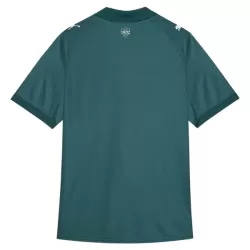 Günstige Fluminense FC Herrentrikot Ausweich 2026/27 Kurzarm