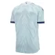 Günstige West Bromwich Albion Herrentrikot Ausweich 2026/27 Kurzarm
